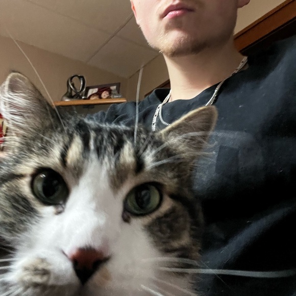 Meet your Posher, Brandon - Picture 4 of 4